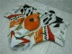 Carenado CBR 1000 RR 04-05 - Naranja Blanco Repsol Carenado CBR 1000 RR 04-05 - Naranja Blanco Repsol