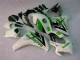 Carenado & Plástico CBR 1000 RR 08-11 - Verde Blanco