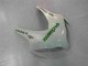 Carenado & Plástico CBR 1000 RR 08-11 - Verde Blanco