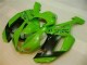 Carenado ZX6R 07-08 - Verde Negro Dunlop Carenado ZX6R 07-08 - Verde Negro Dunlop