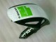 Kits Completo Carenado CBR 1000 RR 08-11 - Verde Blanco