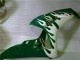 Carenados Moto Honda CBR1000RR 2006-2007 - Blanco Verde Llama Fabricantes