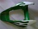 Carenados Moto Honda CBR1000RR 2006-2007 - Blanco Verde Llama Fabricantes