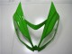 Carenados Moto Kawasaki ZX6R 2013-2018 - Verde Blanco Negro Brillante Fabricantes