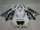 Carenados Moto Honda CBR600 F3 1995-1996 - Blanco Plata Verde Hannspree Fabricantes