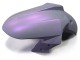 Carenados Moto Kawasaki EX300 2013-2024 - Camaleón Gris Dazz Púrpura Perla Fabricantes