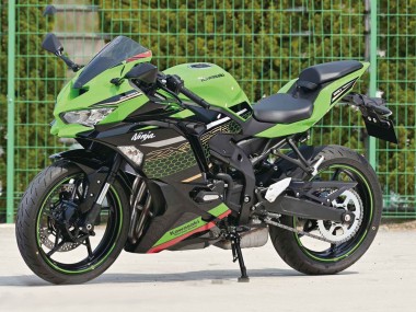 Carenados Moto Kawasaki ZX25R ZX-25R 2019-2025 - Verde Negro Rojo Honeycomb Fabricantes