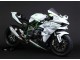 Carenados Moto Kawasaki Ninja H2 2015-2022 - Blanco Plata Verde Fabricantes
