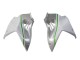 Carenados Moto Kawasaki Ninja H2 2015-2022 - Blanco Plata Verde Fabricantes