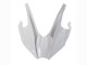 Carenados Moto Kawasaki Ninja H2 2015-2022 - Blanco Plata Verde Fabricantes