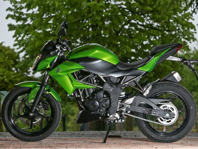 Carenados Moto Kawasaki Z250/Z300 2015-2016 - Verde Negro Mate Fabricantes
