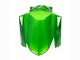 Carenados Moto Kawasaki Versys 650 2022-2025 - Verde Negro Brillante Fabricantes