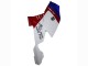 Carenados ABS BMW K1200S 2005-2010 - Blanco Rojo Azul Fabricantes