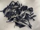 Carenados Moto BMW S1000RR 2023-2024 - Negro Brillante FibraCarbono Fabricantes