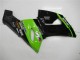 Carenados Moto Kawasaki ZX6R 2005-2006 - Verde Negro Brillante Elf Fabricantes