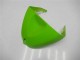Carenados Moto Kawasaki ZX6R 2005-2006 - Verde Negro Brillante Elf Fabricantes