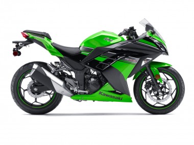Carenado Moto Kawasaki EX300 2013-2024 - Verde Negro Fabricantes