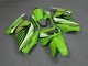Carenado Moto Kawasaki EX250 2008-2012 - Verde Blanco Negro Fabricantes