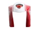 Carenados Moto Ducati 748/916/996/998 1993-2005 - Blanco Rojo Amarillo Verde Negro Brillante Performance Fabricantes