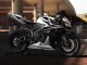 Carenados Moto Honda CBR600RR 2007-2008 - Blanco Negro Carrera Fabricantes