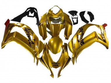 Carenados Moto Kawasaki ZX10R 2021-2025 - Oro Negro Fabricantes