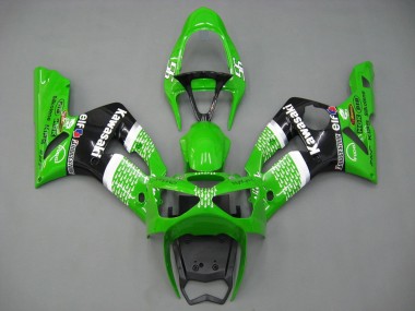 Carenados Moto Kawasaki ZX6R 2003-2004 - Verde Blanco Negro Elf Bridgestone Fabricantes