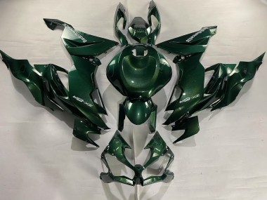 Carenados Moto Kawasaki ZX6R 2019-2022 - Verde Oscuro Fabricantes