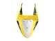 Carenados Moto Yamaha YZF R3/R25 2019-2021 - Amarillo Blanco Negro Raya Fabricantes