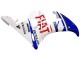 Carenados Moto Yamaha YZF 600 R6 2005 - Blanco Azul Dunlop Fiat Motul Fabricantes