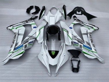 Carenados Moto Kawasaki ZX10R 2016-2020 - Blanco Plata Verde Azul Negro Trick Star Fabricantes