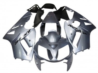 Carenados Moto Kawasaki ZX12R 2000-2001 - Plata Fabricantes