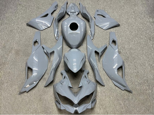 Carenados Moto Kawasaki ZX4R ZX-4RR 2019-2025 - Nardo Gris Brillante Fabricantes