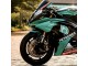 Carenados Moto Yamaha YZF R6 2008-2016 - Verde Claro Blanco Negro Petronas Fabricantes